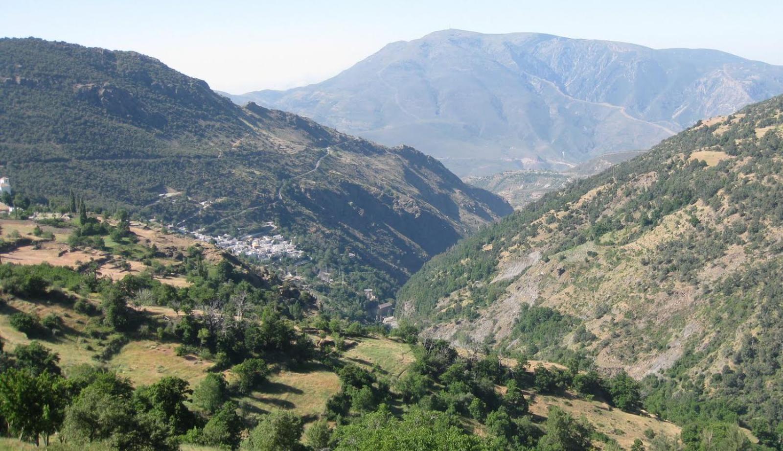 Alojamientos Rurales Benarum Con Spa Alpujarra De La Sierra Bagian luar foto